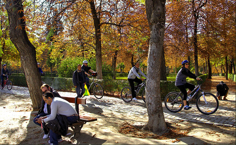Bicicletas en el Parque del Retiro (Foto: Jose Javier Martin Espartosa )